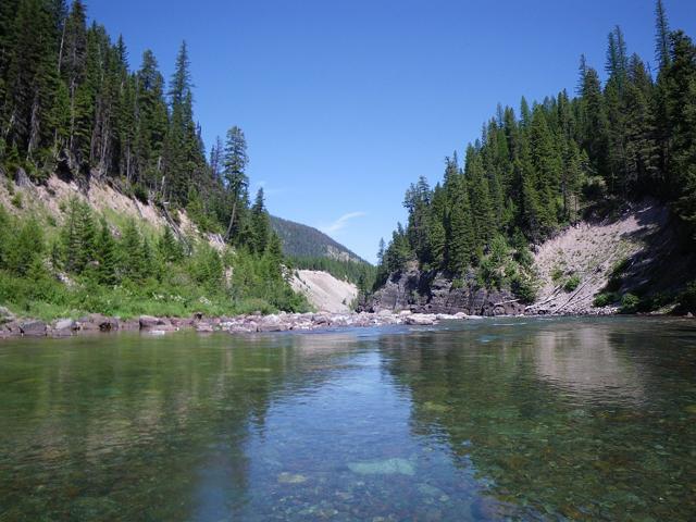 Flathead National Forest